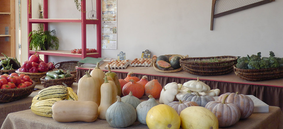 Bellevue sur l'potager, présentation de l'entreprise