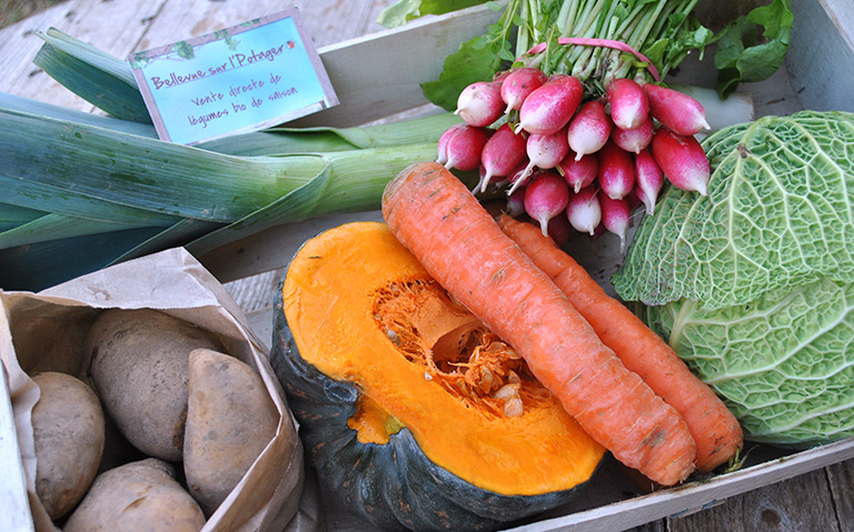 Les légumes et fruits - nos produits