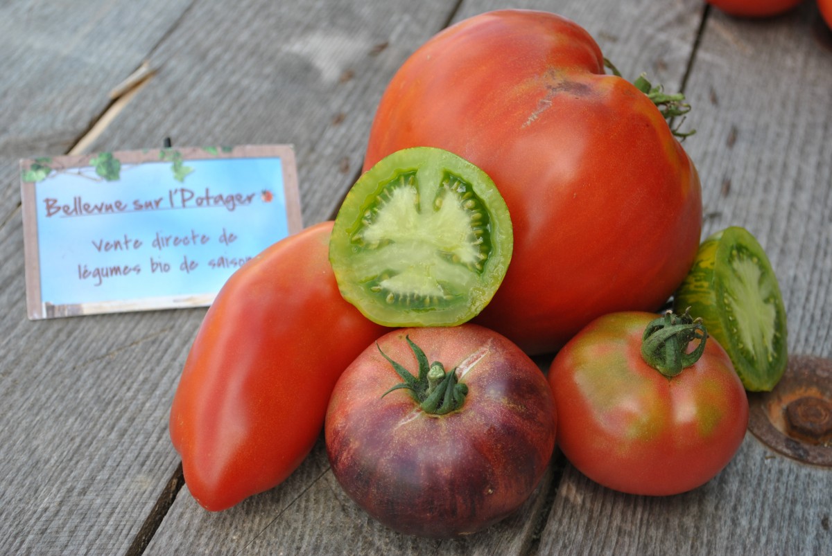 Petits farcis végétariens