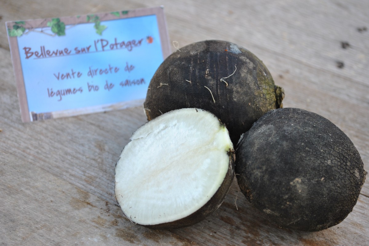 Velouté de radis noir et poireaux