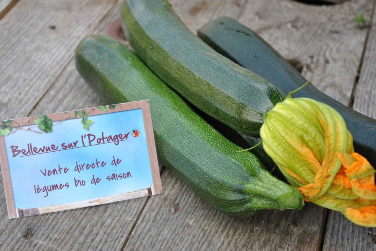 Petites crêpes de courgettes