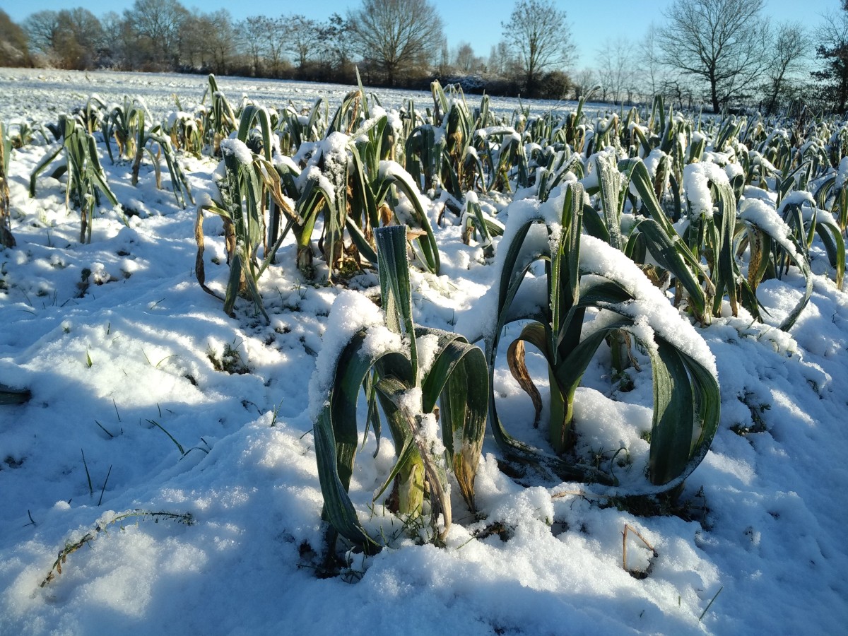 FERMETURE EXCEPTIONNELLE