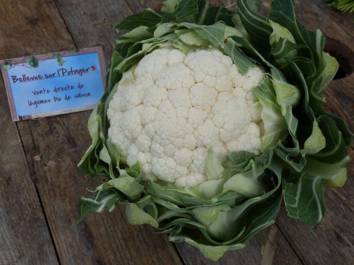 Chou fleur cru rapé