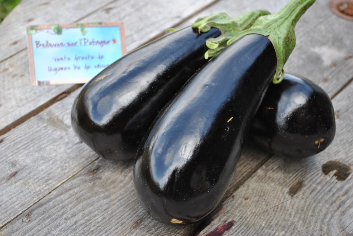 Aubergines cuites au four, farcies de légumes grillés et gratinées de Comté