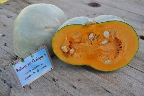 Cake &agrave; la Blue Ballet