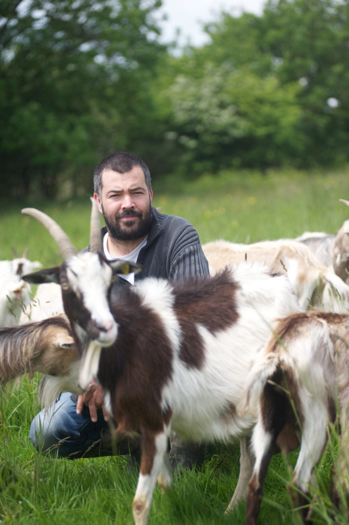  Guillaume Larcher : PRODUCTEUR DE FROMAGE DE CHEVRE