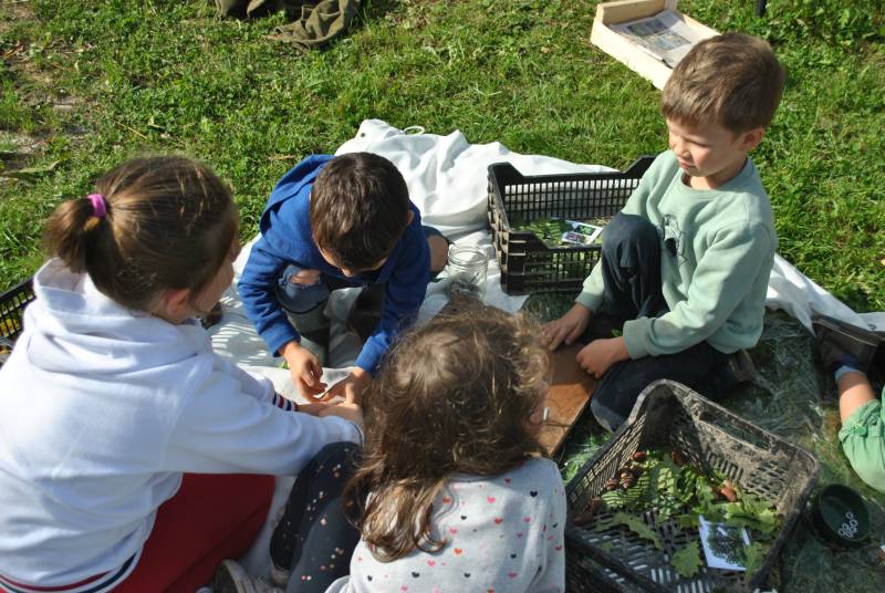 Novembre Atelier du mercredi