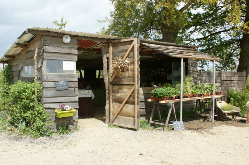 La Cabane d'accueil 2010