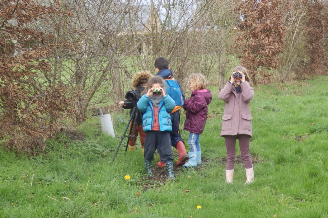 La biodiversité de la faune au potager